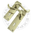 Decorative brass door handles